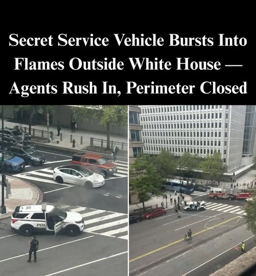 Secret Service Vehicle Catches Fire Outside White House Just Before Netanyahu’s Arrival