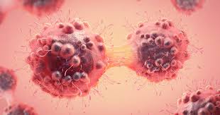 🧬 Hope from Japan — New Breakthroughs in Cancer Research 🇯🇵