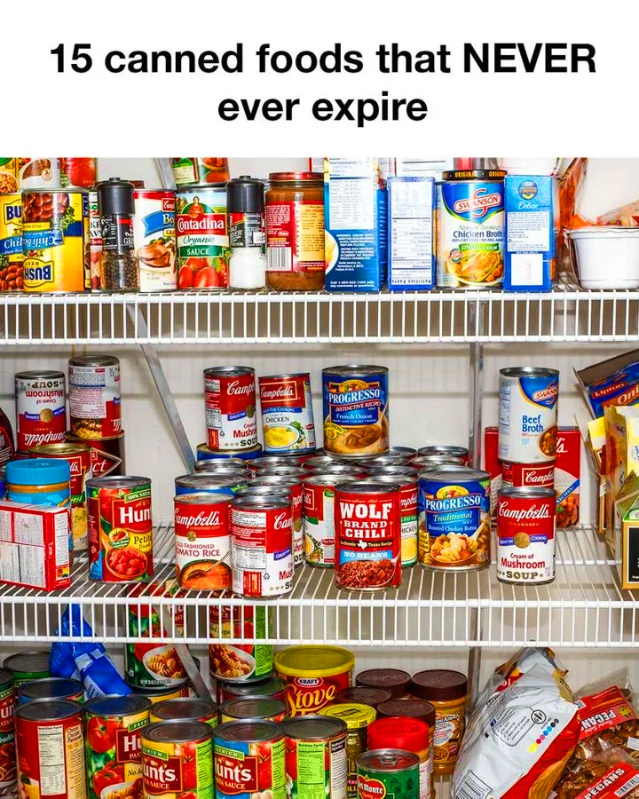 I Didn’t Know About All the Items on This List – And You Probably Don’t Either