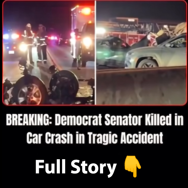 Democratic Senator Killed in Motor Vehicle Accident Over Thanksgiving Holiday